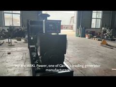 400KVA 320KW Cummins QSNT-G3 Diesel Generator Set with 8-Hour Continuous Running and IP56 Protection