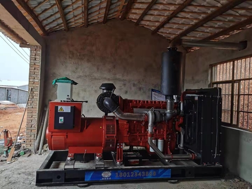 Latest company news about 400KW diesel generator set be installed in Poultry farming factory